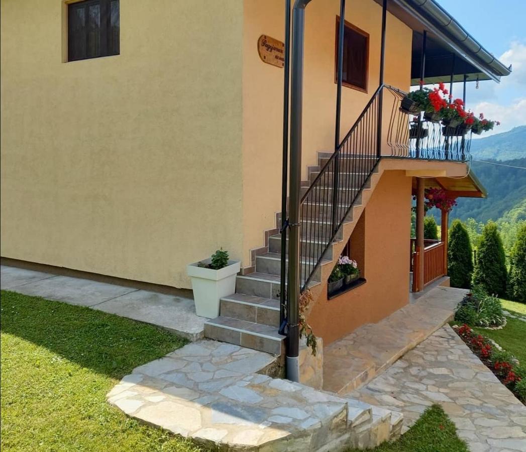Turizam Koturovic Ivanjica Exterior foto
