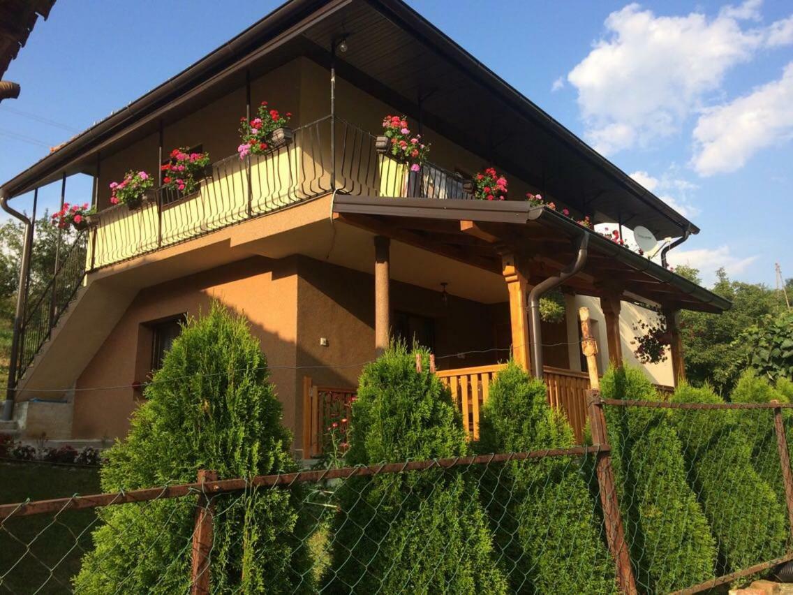 Turizam Koturovic Ivanjica Exterior foto