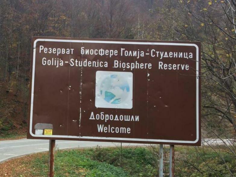 Turizam Koturovic Ivanjica Exterior foto