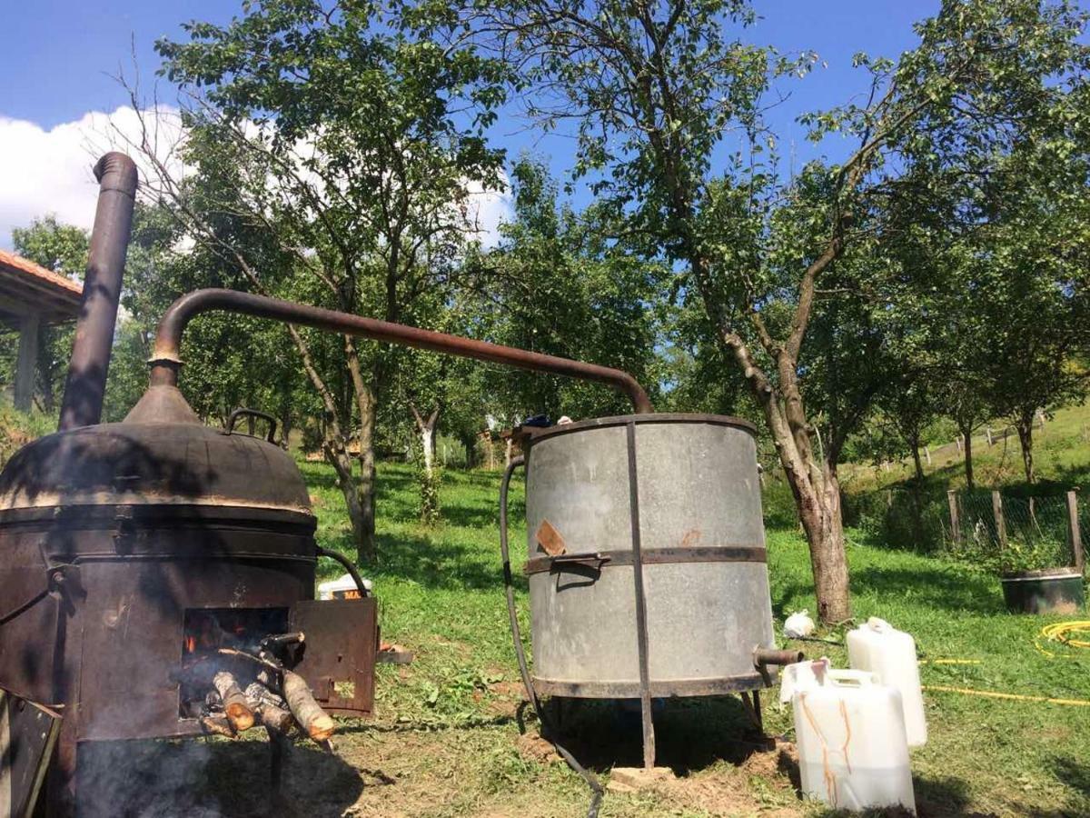 Turizam Koturovic Ivanjica Exterior foto