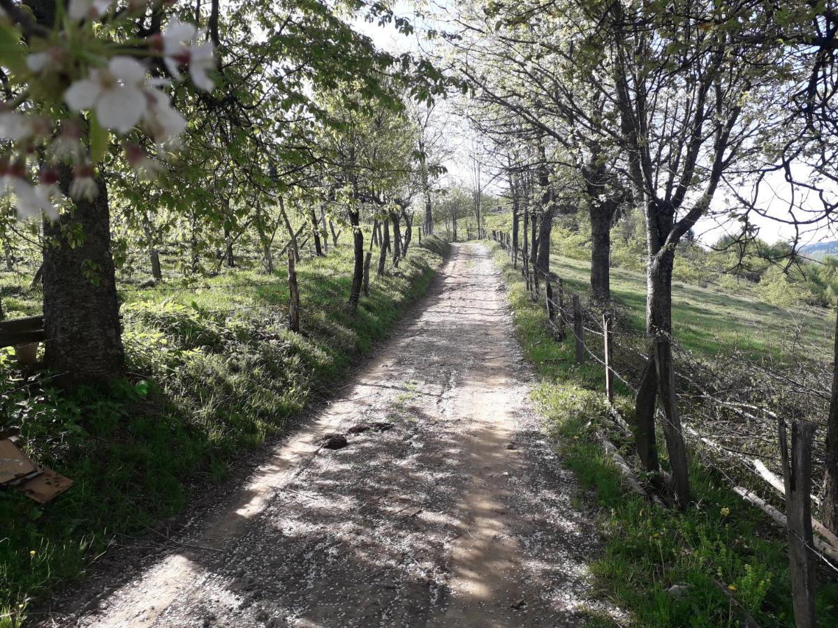 Turizam Koturovic Ivanjica Exterior foto